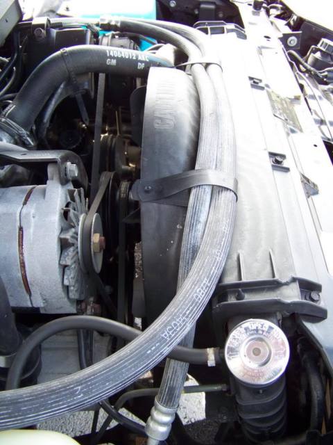 1983 Pontiac Firebird - photo 3