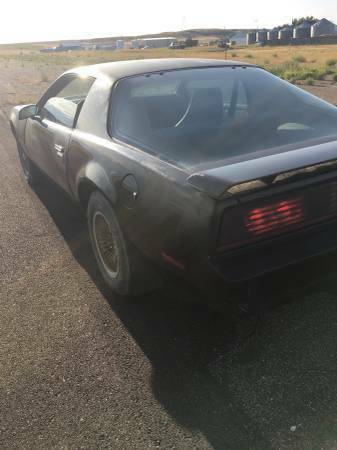 1983 Pontiac Firebird Trans Am - photo 4