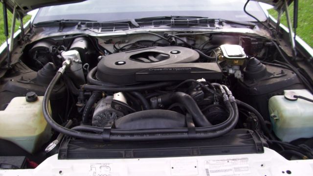 1983 Pontiac Trans Am - photo 11