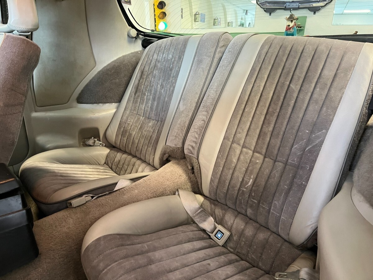 1983 Pontiac Firebird TRANS AM - photo 13