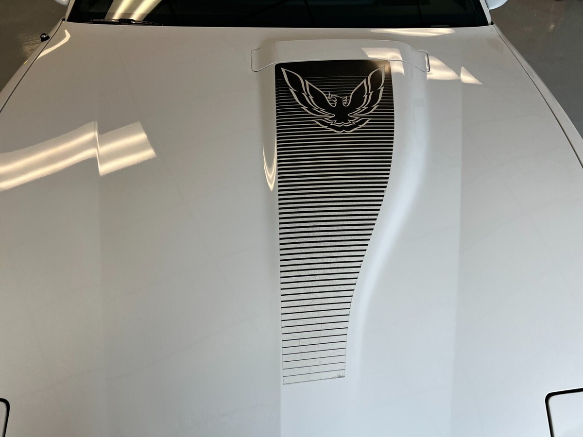 1983 Pontiac Firebird TRANS AM - photo 9