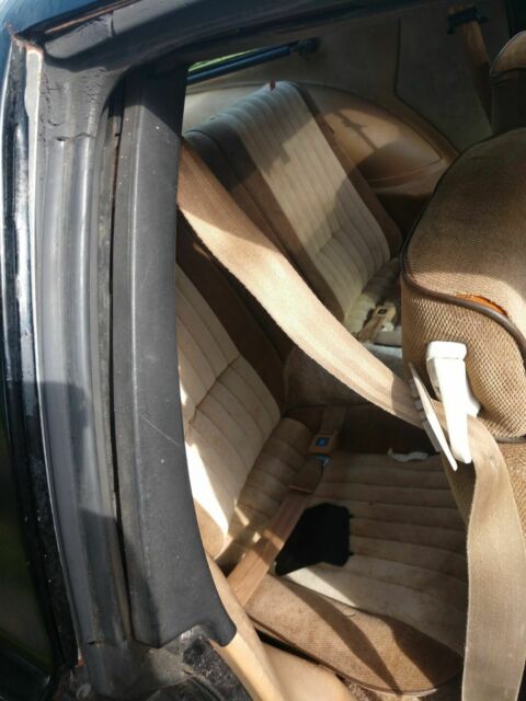 1983 Pontiac Trans Am - photo 2