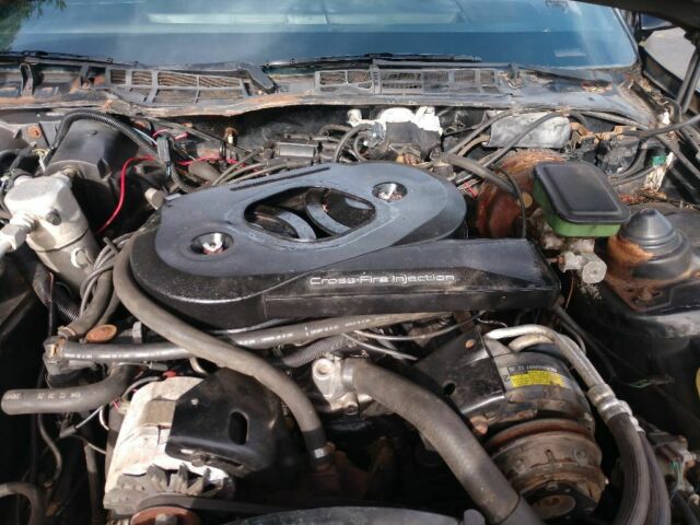 1983 Pontiac Trans Am - photo 4