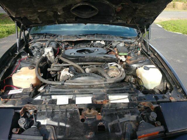 1983 Pontiac Trans Am - photo 5