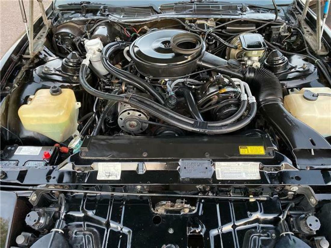 1983 Pontiac Firebird Trans Am - photo 4
