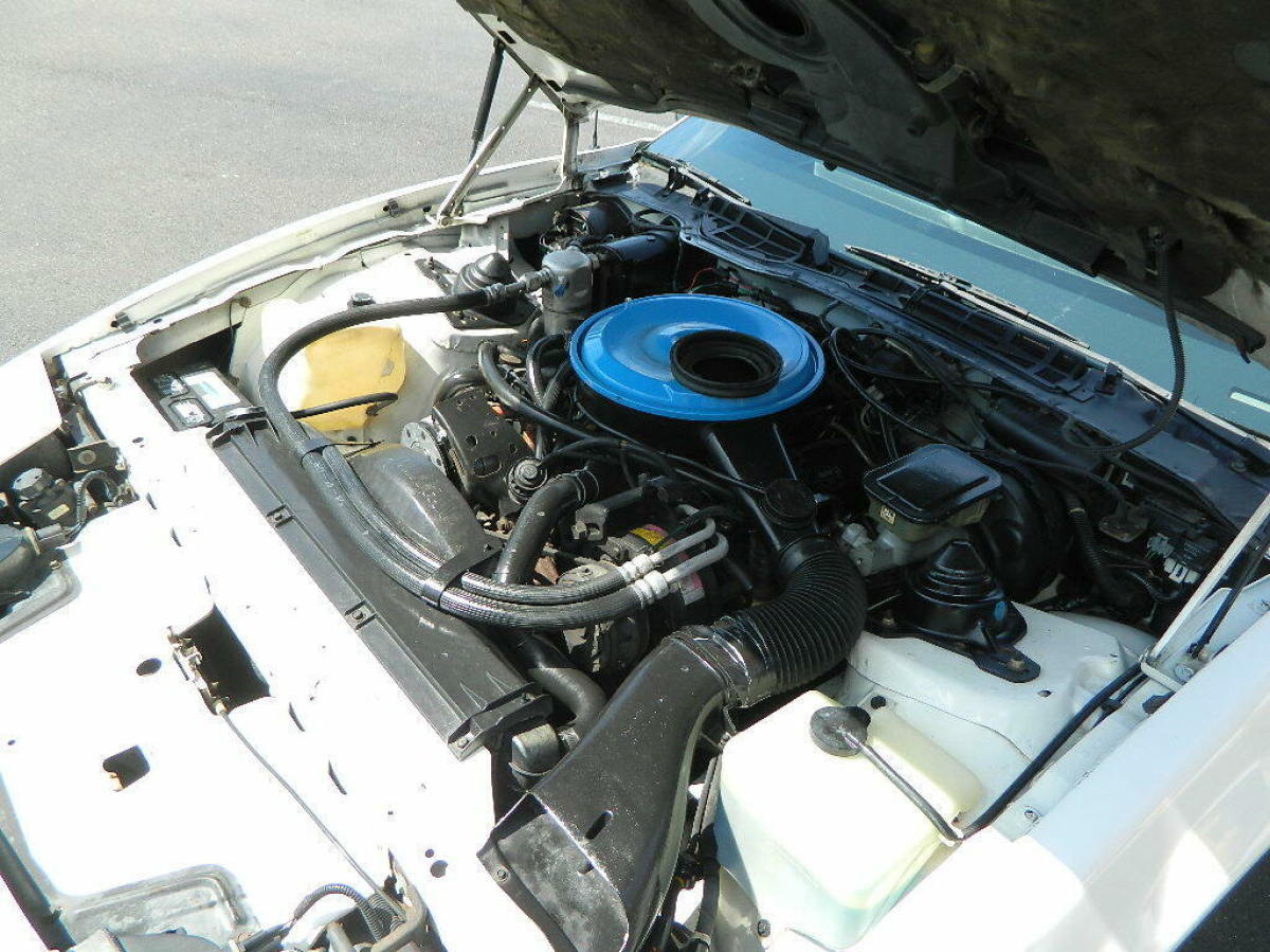 1983 Pontiac Trans Am Firebird - photo 11