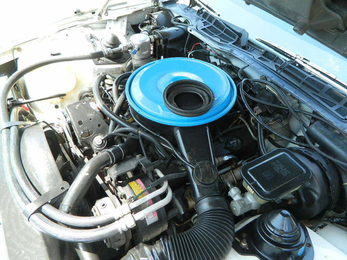 1983 Pontiac Trans Am Firebird - photo 12