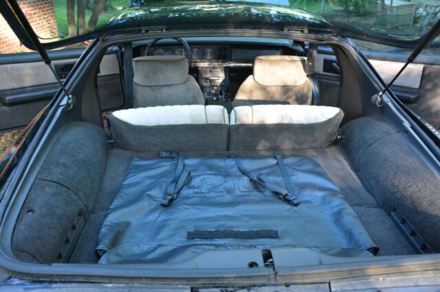 1983 Pontiac Trans Am - photo 10