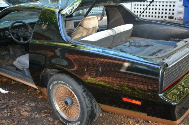 1983 Pontiac Trans Am - photo 11
