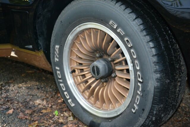1983 Pontiac Trans Am - photo 12