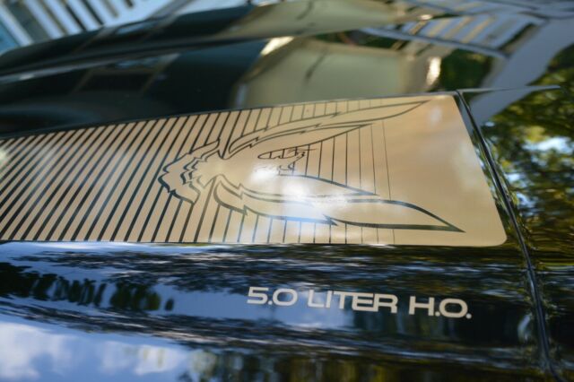 1983 Pontiac Trans Am - photo 4