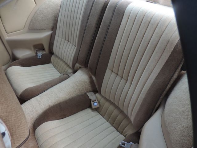 1983 Pontiac Firebird - photo 7
