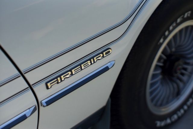 1983 Pontiac Firebird Blue Stripe and Mirror - photo 10