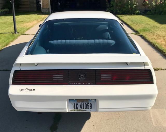 1983 Pontiac Firebird Blue Stripe and Mirror - photo 5