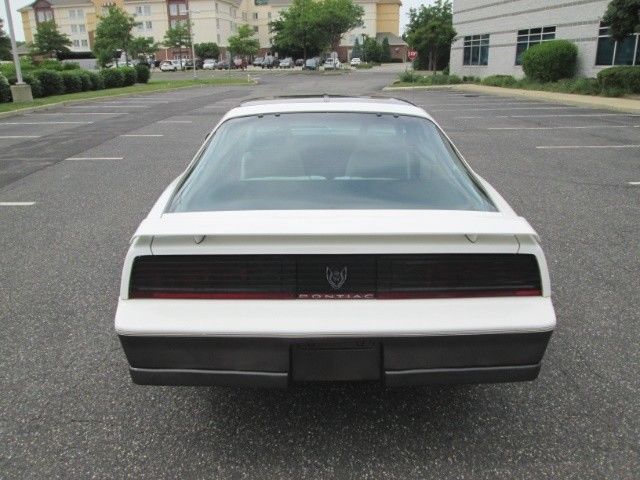 1983 Pontiac Firebird Trans Am - photo 13