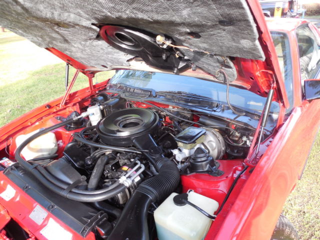 1983 Pontiac Trans Am - photo 7