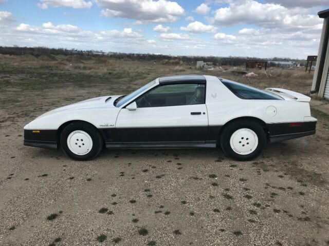 1983 Pontiac Trans Am Daytona 500 - photo 3