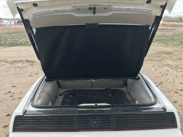 1983 Pontiac Trans Am Daytona 500 - photo 7