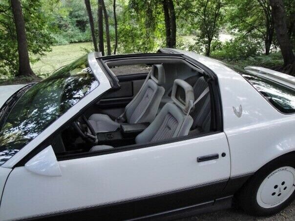 1983 Pontiac Trans Am Daytona 500 - photo 9