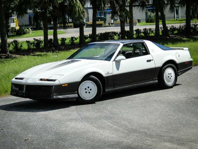 1983 Pontiac Trans Am Daytona 500 Pace CAR - photo 2