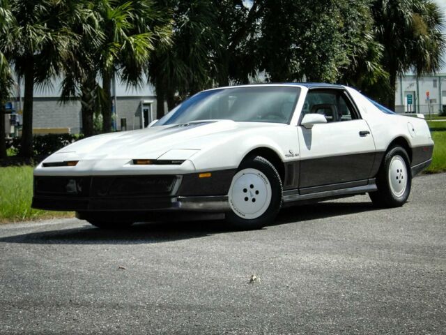 1983 Pontiac Trans Am Daytona 500 Pace CAR - photo 4