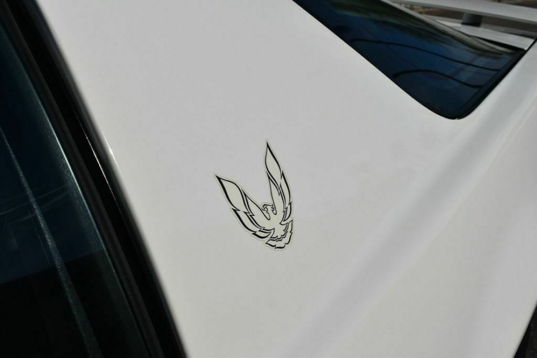 1983 Pontiac Trans Am - photo 9