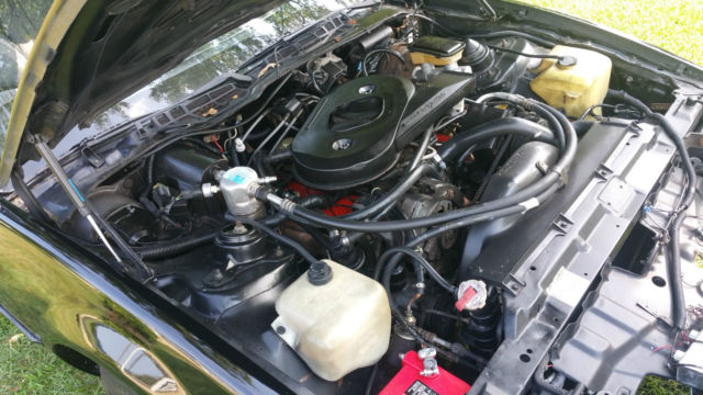 1983 Pontiac Trans Am - photo 5