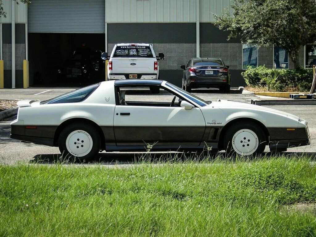 1983 Pontiac Trans Am Daytona 500 Pace CAR - photo 13