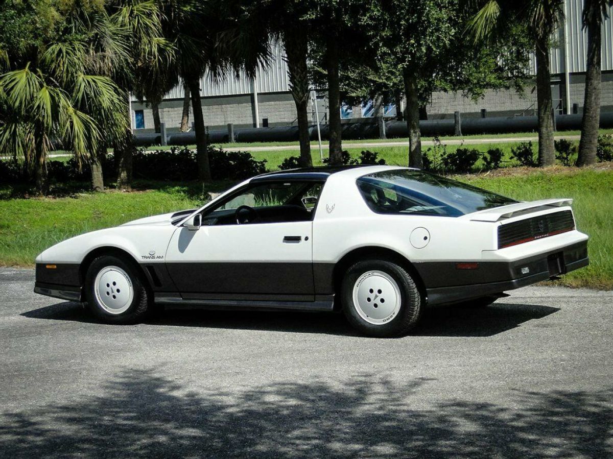 1983 Pontiac Trans Am Daytona 500 Pace CAR - photo 8