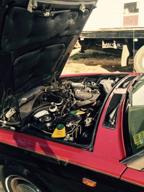 1983 Rolls-Royce Silver Spirit/Spur/Dawn - photo 7