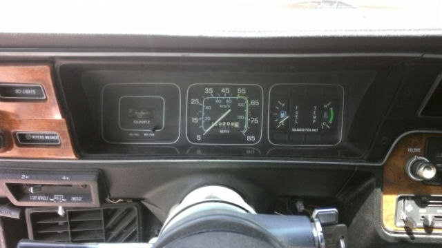 1983 AMC Other Hatchback - photo 10