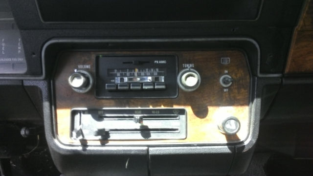 1983 AMC Other Hatchback - photo 11