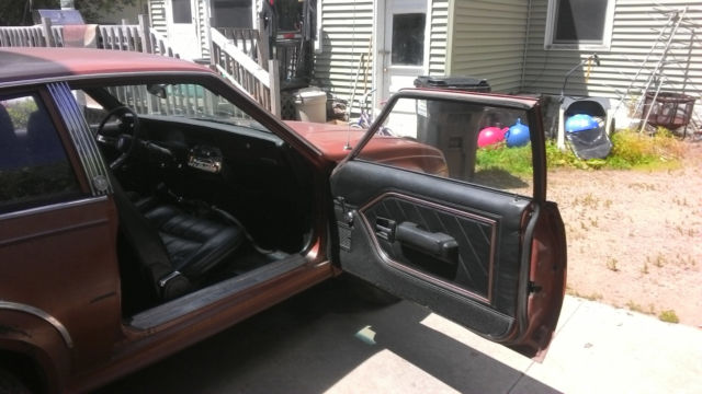 1983 AMC Other Hatchback - photo 2