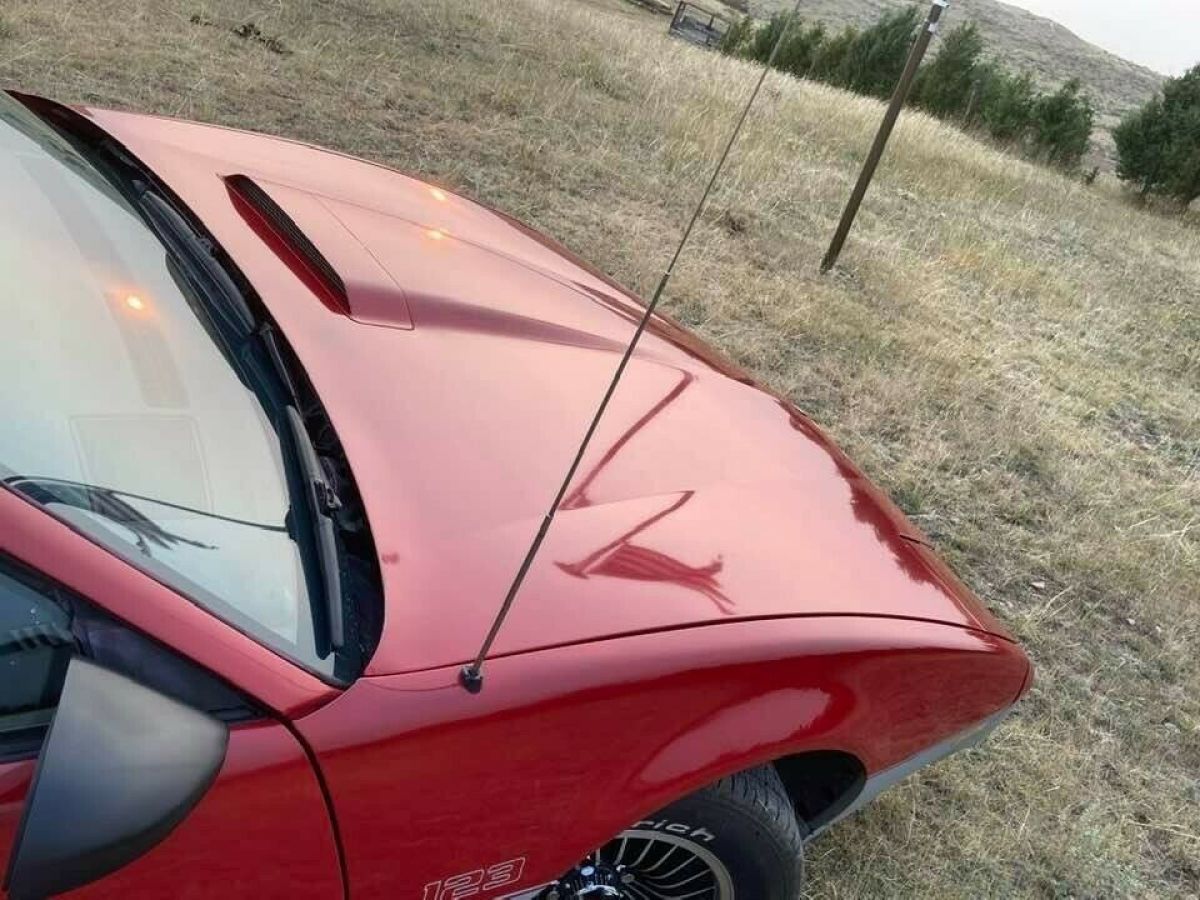 1983 Pontiac Trans Am - photo 7