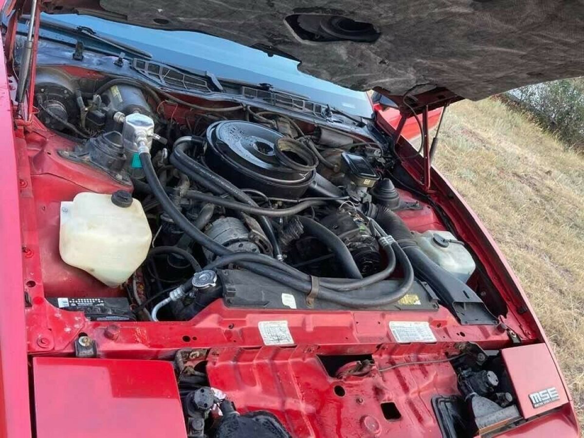 1983 Pontiac Trans Am - photo 8