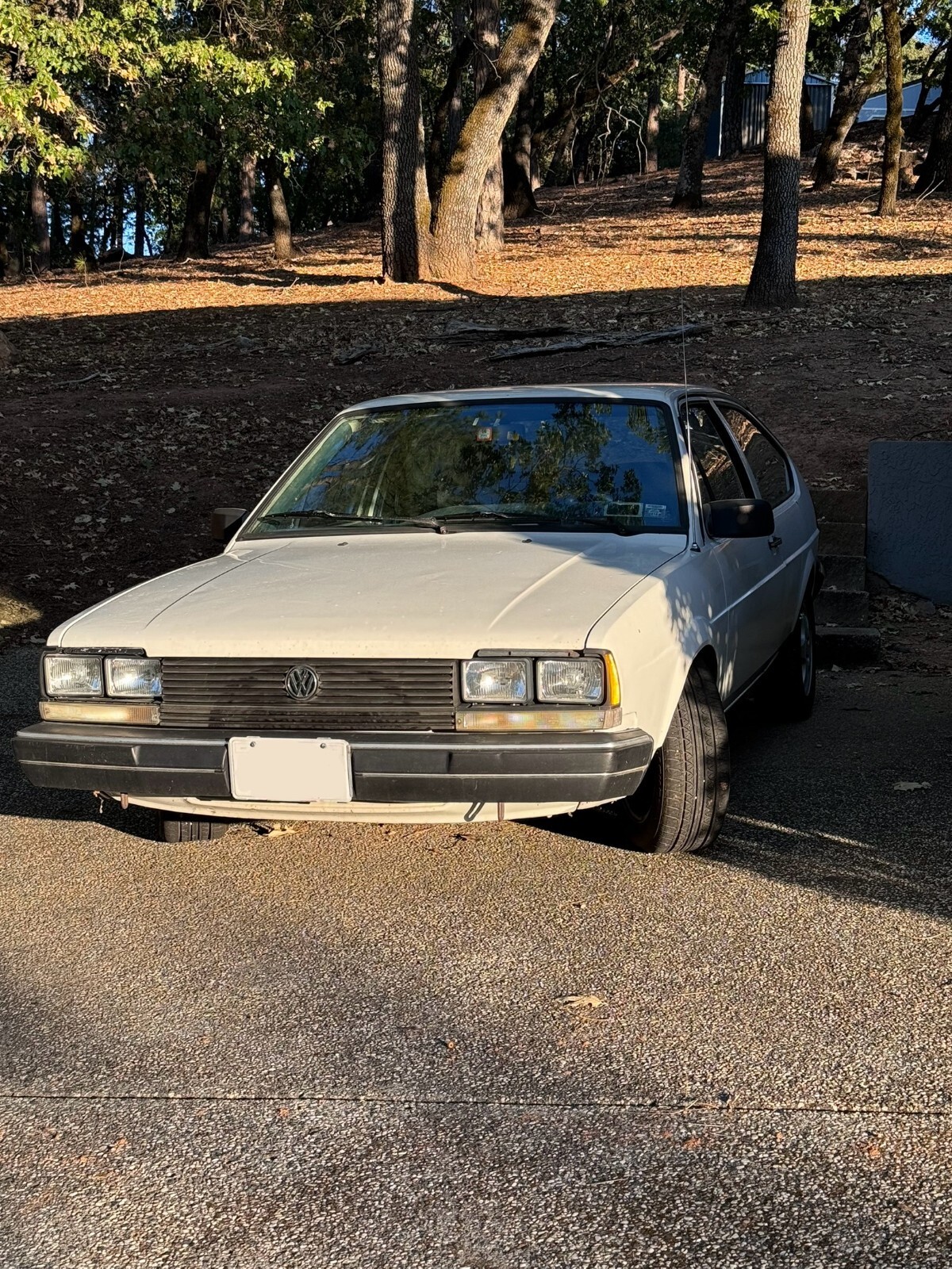 1983 Volkswagen Quantum - photo 10