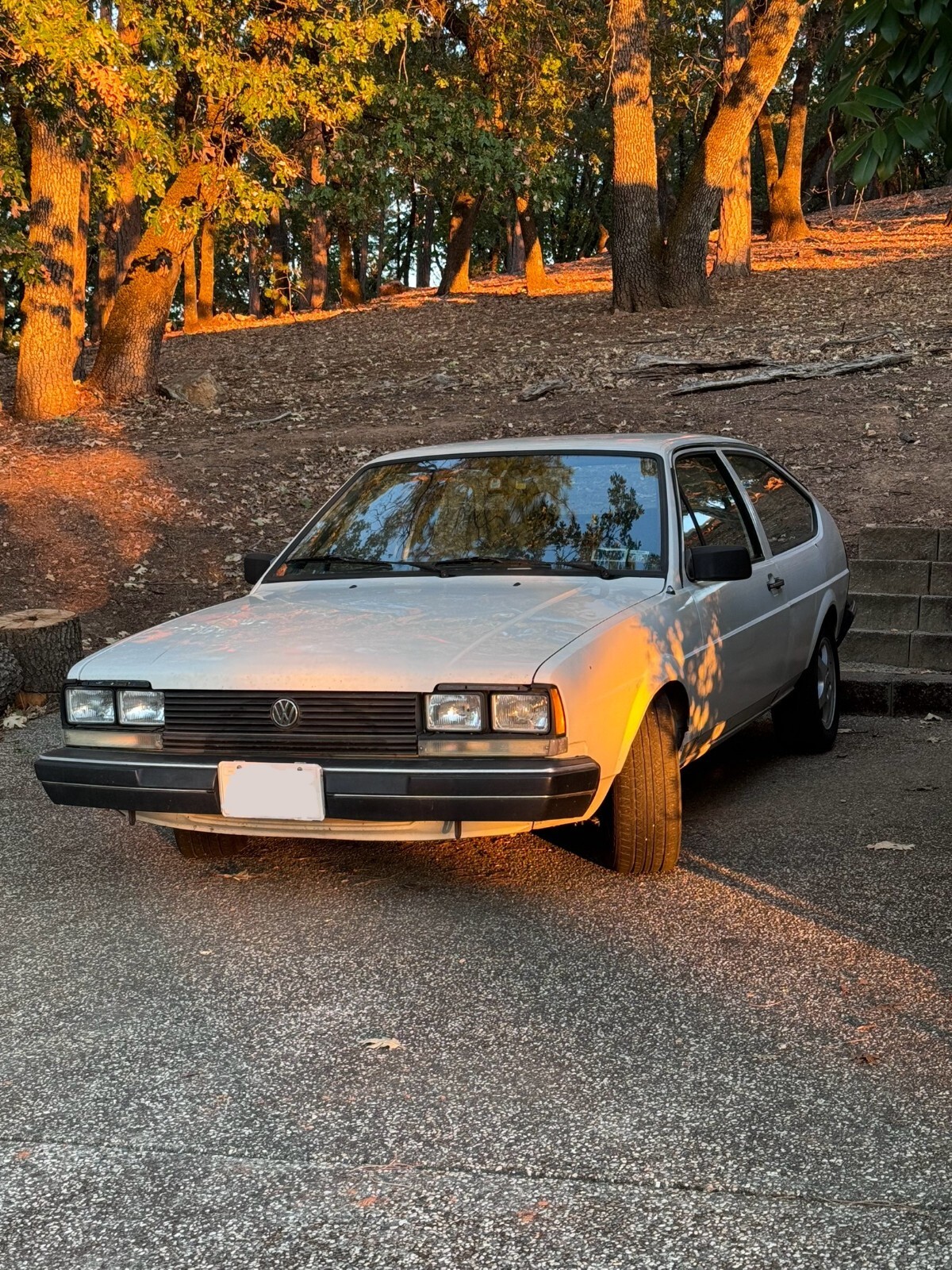 1983 Volkswagen Quantum - photo 11