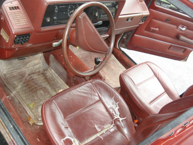 1983 Volkswagen Rabbit Basic - photo 11