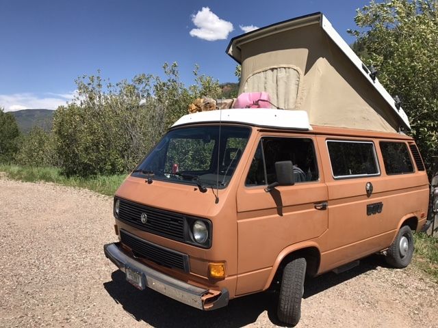 1983 Volkswagen Bus/Vanagon - photo 3