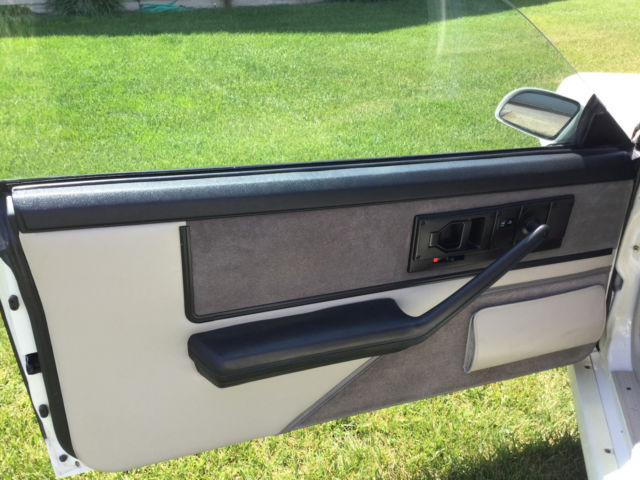 1984 Pontiac Trans Am Anniversary Edition Ricaro - photo 10