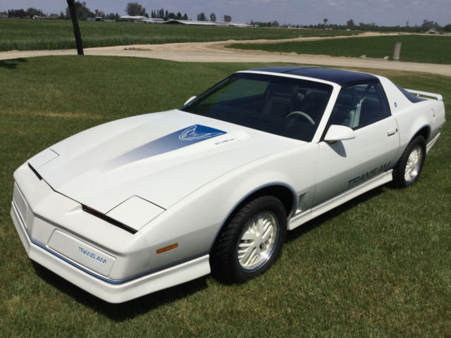 1984 Pontiac Trans Am Anniversary Edition Ricaro - photo 4