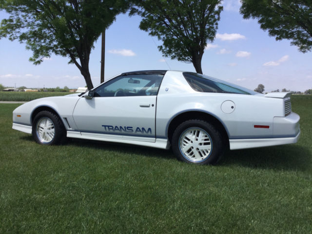 1984 Pontiac Trans Am Anniversary Edition Ricaro - photo 5