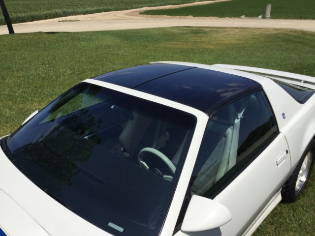 1984 Pontiac Trans Am Anniversary Edition Ricaro - photo 8