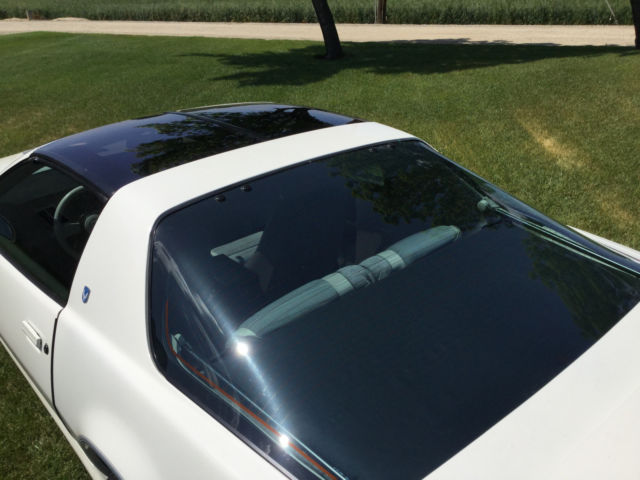 1984 Pontiac Trans Am Anniversary Edition Ricaro - photo 9