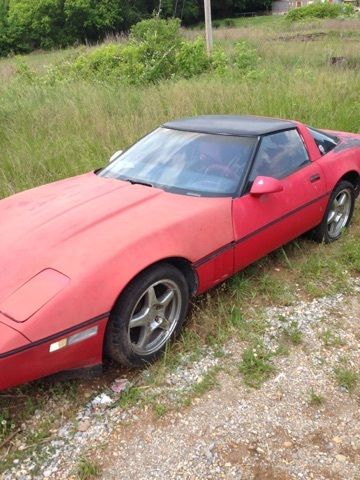 1984 Chevrolet Corvette - photo 2
