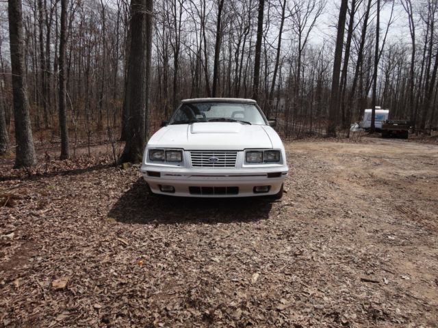 1984 Ford Mustang - photo 2