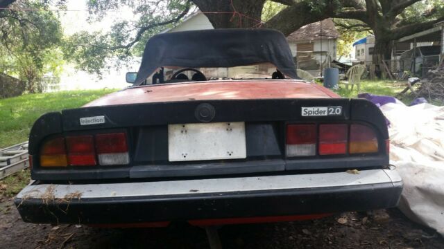 1984 Alfa Romeo Spider Veloce - photo 3
