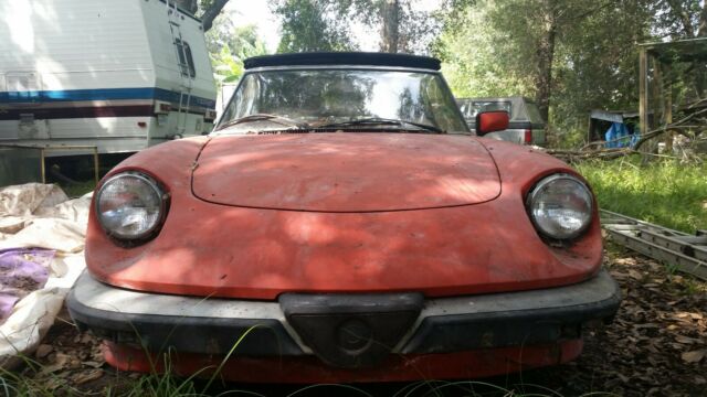 1984 Alfa Romeo Spider Veloce - photo 4