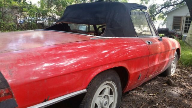 1984 Alfa Romeo Spider Veloce - photo 5