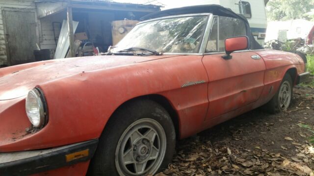 1984 Alfa Romeo Spider Veloce - photo 6